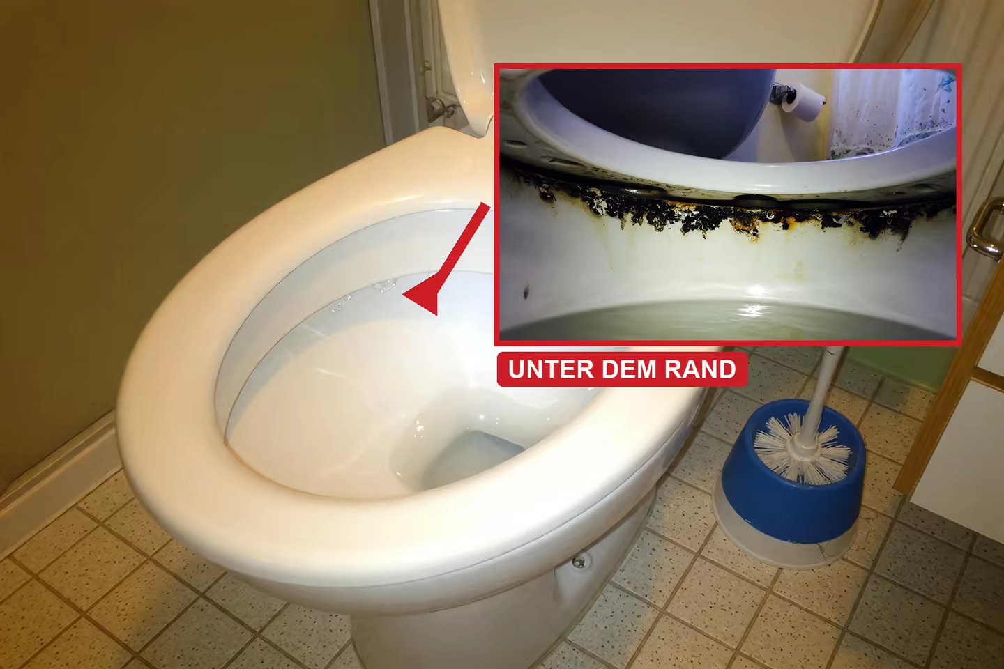 Saubere Toilette, daneben eine Vergrößerung des Hohlraums unter dem Spülrand mit schwarzem Belag